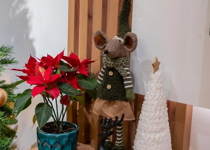 Jacuzzi & Sauna Skyview * Kluž